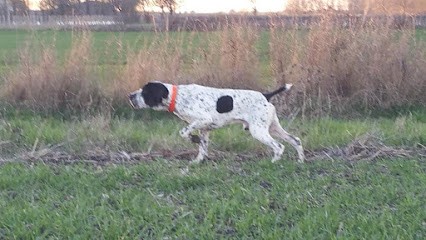 Viaud Jean-Louis Luc, Eleveur de Chiens à Chassors