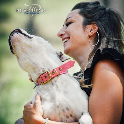 DOG SERENITY - Éducation Canine, Dresseur de Chiens à Saint-Rémy-de-Provence