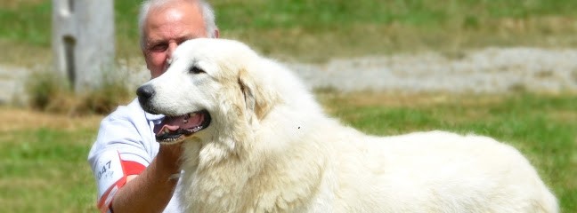 Du Val De Pyrene, Eleveur de Chiens à Sainte-Marguerite-d'Elle