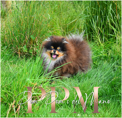 Pom Pom's Del Mano, Éleveur De Chiens à Albi