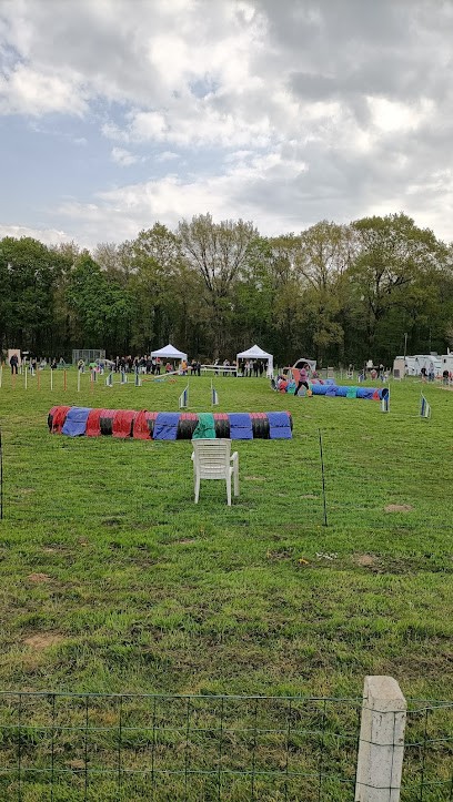 Dinan Sport Canin, Dresseur de Chiens à Quévert