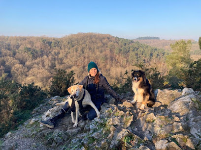 Vie De Chien, Dresseur De Chiens à Damigny