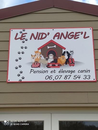 Pension Canine Le Nid' Ange' L, Pension pour Chiens à Mauléon