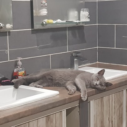 Pension au Paradis de Lemyana, Pension pour Chiens à Silly-sur-Nied