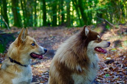 Les Petites Personnes · Educatrice Comportementaliste Canin, Dresseur de Chiens à Saint-Brice-sur-Vienne