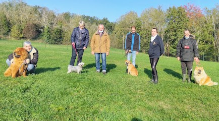 Club Cynophile de Saint Doulchard, Dresseur de Chiens à Saint-Doulchard