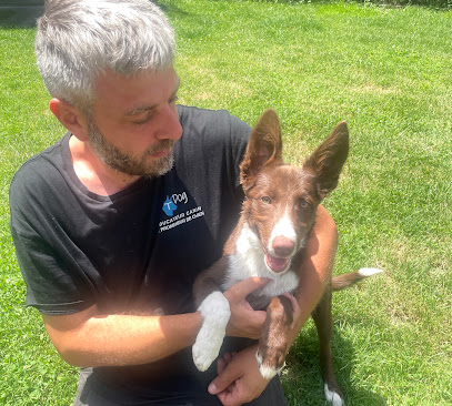 Tdog - Educateur Canin Grenoble Et Comportementaliste Dresseur De Chiens à Grenoble
