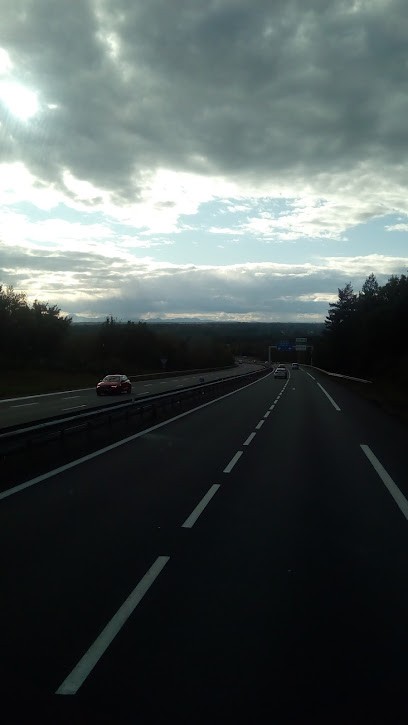 Elevage de la Voûte Céleste, Eleveur de Chiens à Thiers