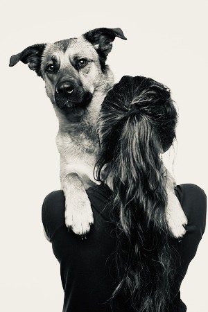 L’îlot Chiens - éducation Et Comportements Canins, Dresseur de Chiens à Tréguidel