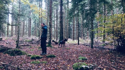 Hundog - Éducation canine, Dresseur de Chiens à Valence