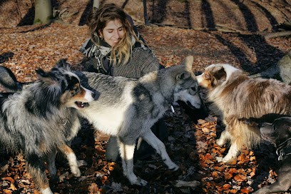 Victorine Reinewald (Canis Corpus) - Comportementaliste Canin, Dresseur de Chiens à Paris 10