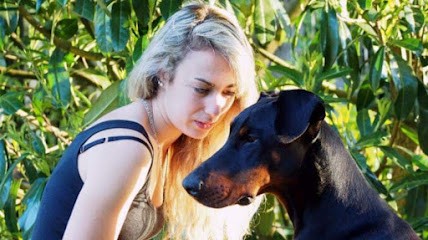 A La Bonne Patte, Pension pour Chiens à Sainte-Gauburge-Sainte-Colombe