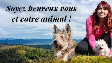 Animal Solution, Dresseur de Chiens à Pruniers-en-Sologne