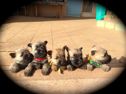 little soanan, Eleveur de Chiens à Valsonne