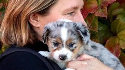 Élevage de la ferme de Moleghem, Eleveur de Chiens à Vieux-Berquin