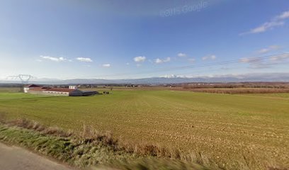 Elevage du Charme d'Argent, Eleveur de Chiens à Ville-sous-Anjou