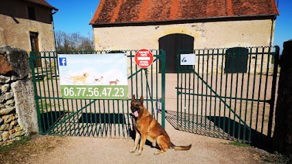 Passion Malis Education Canine, Dresseur de Chiens à Sainte-Foy