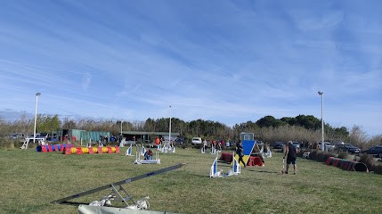 CLUB CANIN DE MONTOU, Dresseur de Chiens à Saint-Hippolyte