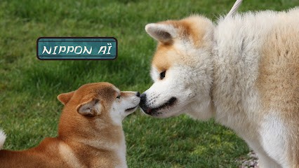 Nippon’Aï, Eleveur de Chiens à Saint-Pierre-en-Auge