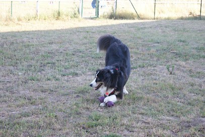 Educadog37, Dresseur de Chiens au Louroux