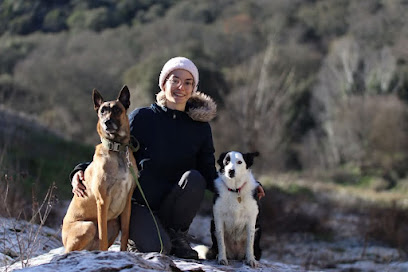 Cynofocus - Éducateur Comportementaliste Canin, Dresseur De Chiens à Uchaud