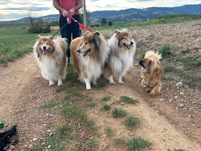 AU 4'PAT HOTEL, Pension pour Chiens à Savigny