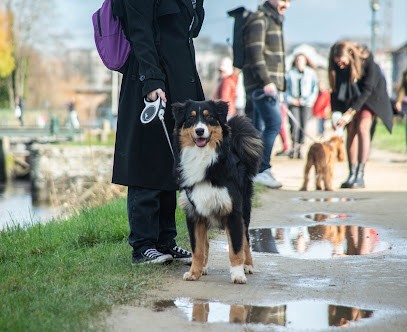 Tonton Croquette - éducateur comportementaliste canin bienveillant, Dresseur de Chiens à Rennes