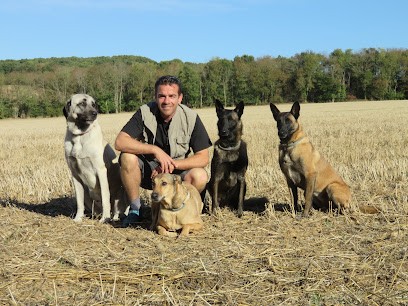 JP KAUFFMANN Éducateur Comportementaliste Canin, Dresseur de Chiens à Sens