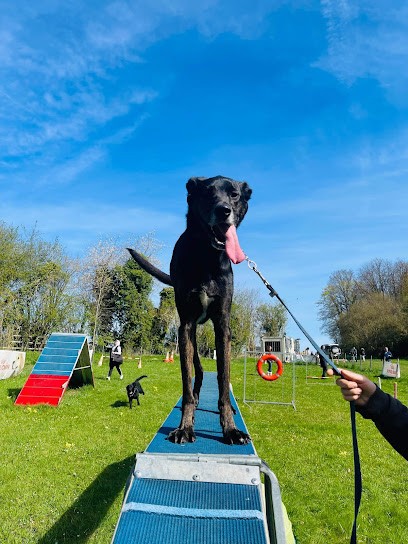 Croc-blanc, Dresseur de Chiens à Meudon