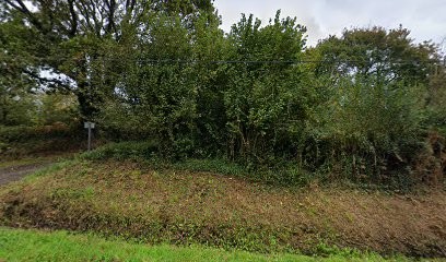 elevage des landes de keryvon, Eleveur de Chiens à Pleumeur-Bodou