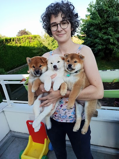 Elevage de Shiba Inu By Fox N'Roll, Eleveur de Chiens à Durningen