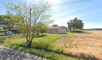 rhodesian-ridgeback-desterreslointaines, Eleveur de Chiens à Meilhan-sur-Garonne