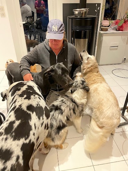 Zig Éduc Éducatrice comportementaliste canin, Dresseur de Chiens à Sublaines