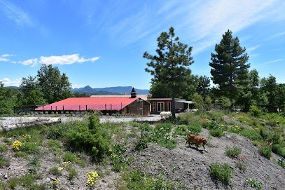 Caldeira de la Madone, Pension pour Chiens à Ventavon