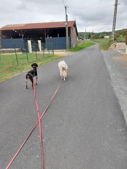 Irko&co, Pension pour Chiens à Bourgueil