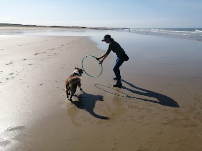 Amimaux - Education Canins & Félins Et Balades, Dresseur de Chiens à Saint-Gilles-Croix-de-Vie