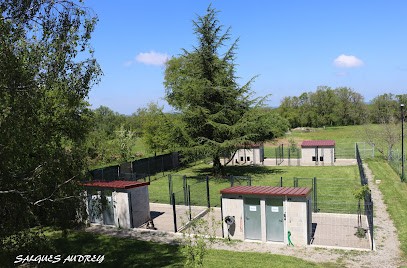 Pension Du Biker à 4 Pattes, Pension pour Chiens à Montrol-Sénard