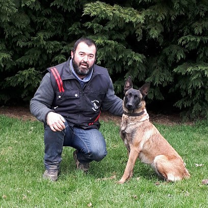 Educateur , Comportementaliste Canin Gueguen Guillaume, Dresseur de Chiens à Pont-Melvez