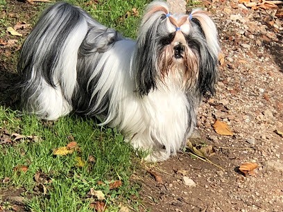 Élevage Les Marais De Courmont, Eleveur de Chiens à Drosnay