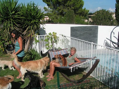 Pension Des Cabots, Pension pour Chiens à Biot