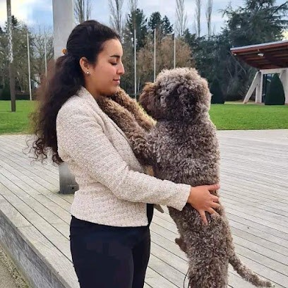 Lagotto Romagnolo Du Pech Du Cayrol, Eleveur de Chiens à Lalbenque