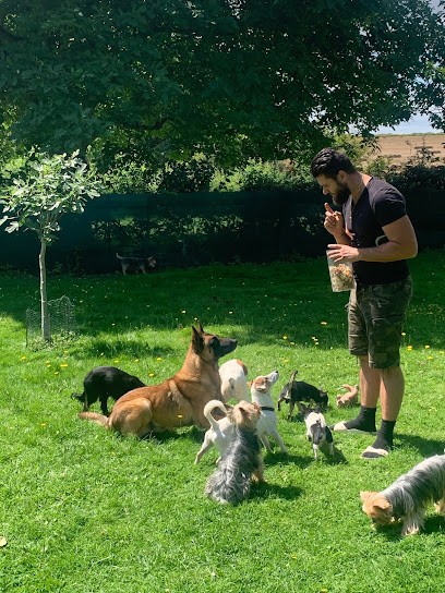 Le Royaume Des Petits Vikings - Pension Et Garde Familiale Chien Et Chat - Oise, Pension pour Chiens à Trie-Château