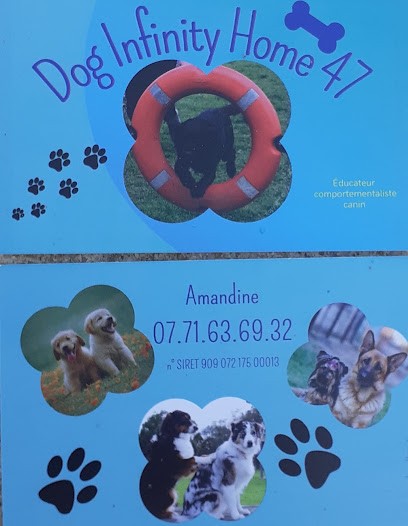 Dog Infinity Home 47, Dresseur de Chiens au Passage