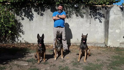 PSYCHO CYNO (Comportementaliste Et éducateur Canin), Dresseur de Chiens à Val en Vignes