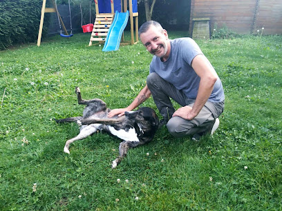 Vivr'ensemble - Educateur Canin, Dresseur De Chiens à Lys-lez-Lannoy