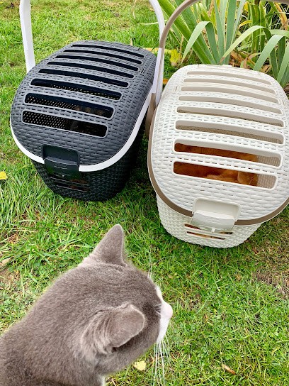 Pension De Titou, Pension pour Chiens à Neublans-Abergement