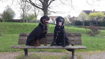 Éthologue - Canine Behaviorist & Feline Education Chien & Chat : Animatopia, Dresseur de Chiens à Saint-Symphorien