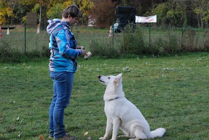 Myriam Chotin - 2 Mains Pour Les Chiens, Dresseur de Chiens à Saint-Martin-d'Ordon