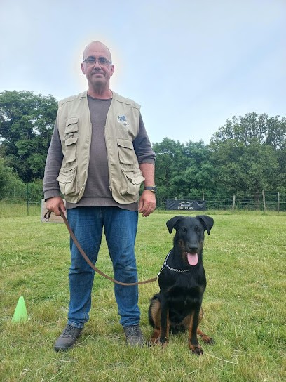 Centre d'éducation et de rééducation canine Laurent MANSAT, Dresseur de Chiens à Saint-Maurice-Saint-Germain