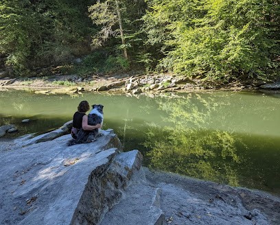 Les douces pattes 74, Dresseur de Chiens à Nonglard